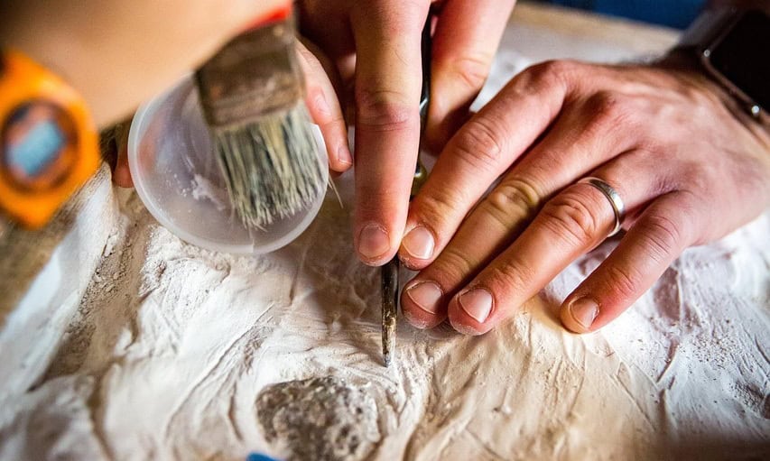 Hallan cráneo de roedor de 700 mil años en Argentina