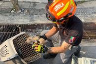 Realizan rescate en alcantarilla