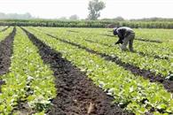 Alertan por falsos gestores para regularizar concesiones de agua Alertan por falsos gestores para regularizar concesiones de agua