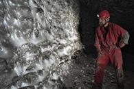 Checos hallan la telaraña más grande del mundo