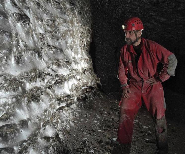 Checos hallan la telaraña más grande del mundo