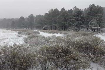 Primera tormenta invernal provocará lluvias al norte de México