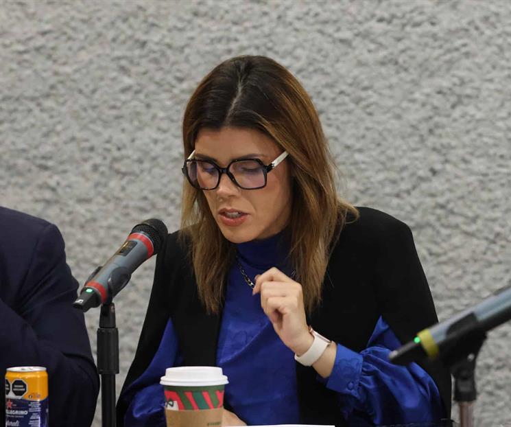 Piden panistas informe sobre destino del impuesto verde