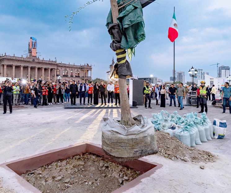 Inician arborización de la Explanada de los Héroes Inician arborización de la Explanada de los Héroes