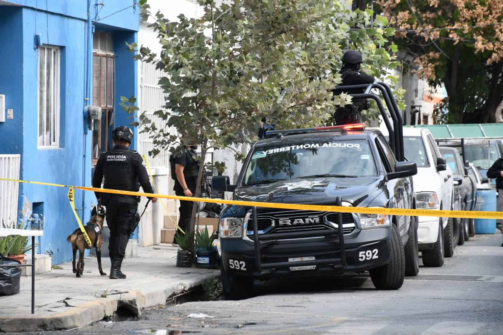 Alrededor de 100 kilos de marihuana fueron encontrados en un domicilio tras un cateo luego de la detención de un cubano, una colombiana y otra persona, en el centro de Monterrey.