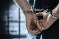 En 13 días, Ejército y GN detienen a 118 personas en Michoacán En 13 días, Ejército y GN detienen a 118 personas en Michoacán