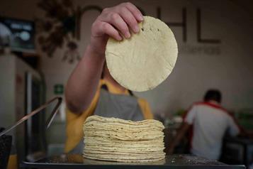 Precio de kilo de tortillas ya se encuentra en 30 pesos:  ANPEC