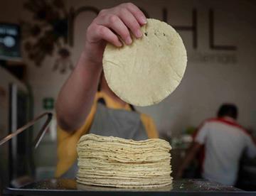 Precio de kilo de tortillas ya se encuentra en 30 pesos:  ANPEC