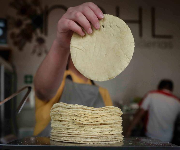 Precio de kilo de tortillas ya se encuentra en 30 pesos:  ANPEC