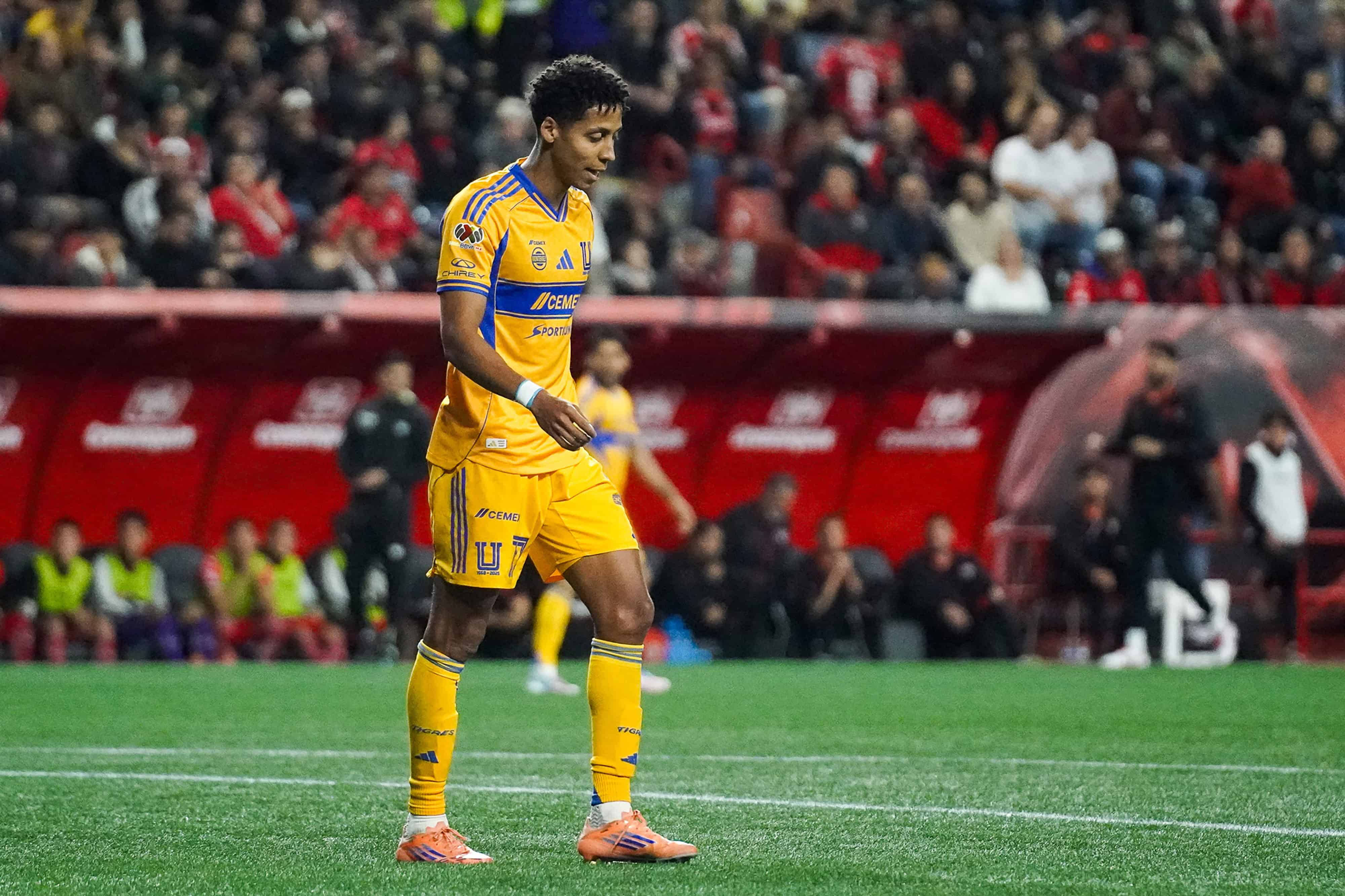 Tigres, con pie y medio fuera de la Liguilla.