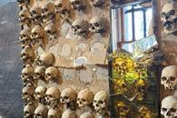 Dañan mural de Cauduro en la Suprema Corte de Justicia