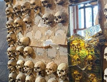 Dañan mural de Cauduro en la Suprema Corte de Justicia