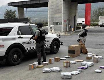 Aseguran droga en empresa de paquetería