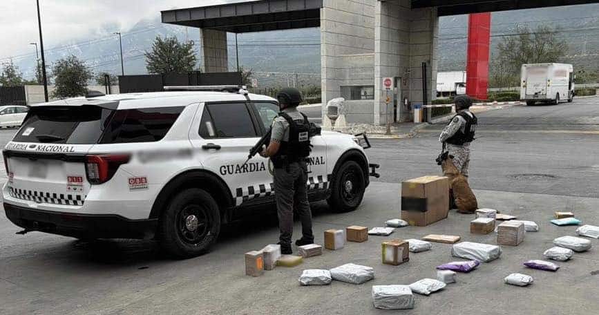 Aseguran droga en empresa de paquetería Aseguran droga en empresa de paquetería