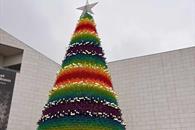 Invitan al encendido del pino navideño en la Macroplaza