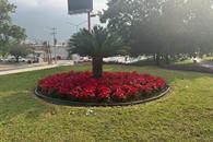 Inicia Monterrey preparativos para Regia Navidad Mundialista