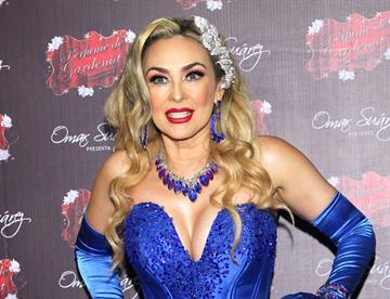 Aracely Arámbula revela qué pasará con futuro artístico de sus hijos