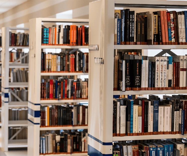 Las bibliotecas, espacios de resistencia