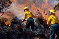 Provoca el narco la peor temporada de incendios en la última década