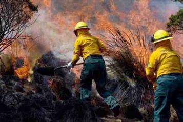 Provoca el narco la peor temporada de incendios en la última década