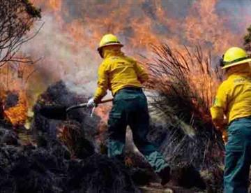 Provoca el narco la peor temporada de incendios en la última década