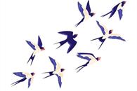 El temerario desquite