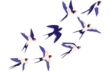 El temerario desquite