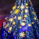 Enciende César el Pino Navideño