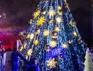 Enciende César el Pino Navideño