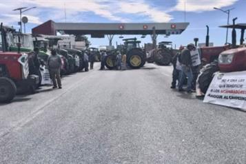 Reactivan productores bloqueos en carreteras