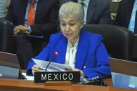 Defiende México ante la OEA su derecho de asilo Defiende México ante la OEA su derecho de asilo
