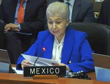Defiende México ante la OEA su derecho de asilo
