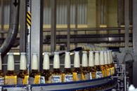 Evalúa Cámara Baja régimen fiscal de bebidas alcohólicas