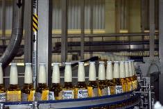 Evalúa Cámara Baja régimen fiscal de bebidas alcohólicas