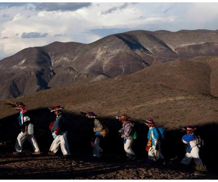 Reconocimiento global refuerza la defensa de Wirikuta