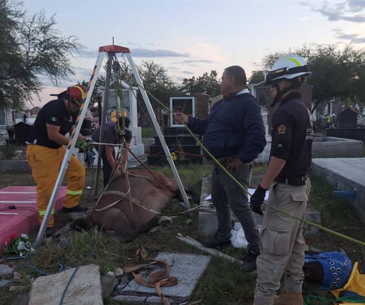 Rescatan a caballo que cae a tumba