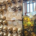 Acuerdan restauración de mural de Cauduro dañado en la Corte