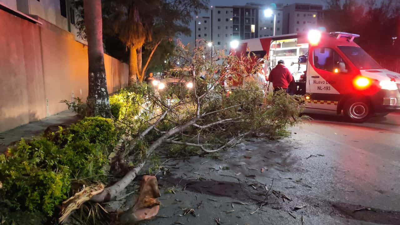 Tras dormitar al volante, una conductora perdió el control de su camioneta y tras estrellarse contra un árbol terminó volcada, ayer en la Colonia Céntrika, en Monterrey.