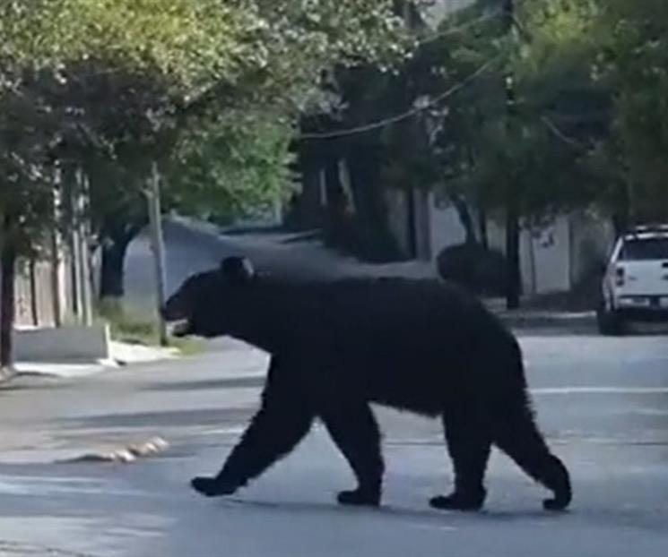 Promueven convivencia responsable con entorno Promueven convivencia responsable con entorno