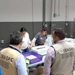 Pide OEA acelerar conteo en Honduras