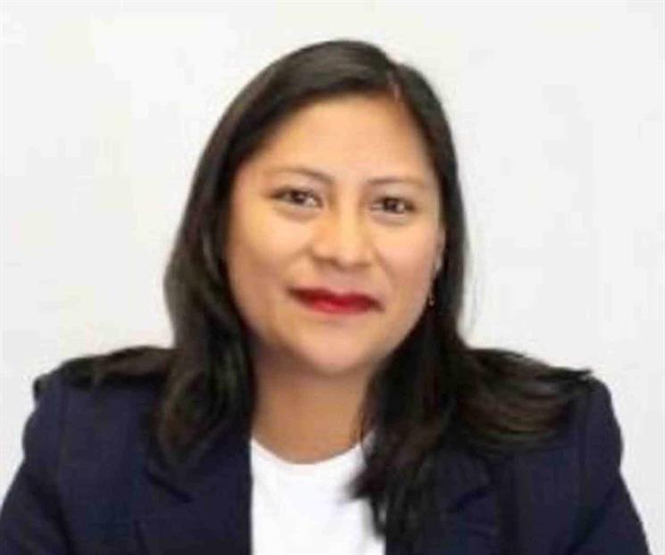 Plantean prisión por usurpar candidaturas Plantean prisión por usurpar candidaturas