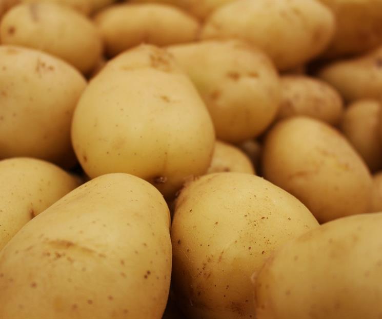 Papa blanca con variaciones en precio por temporada navideña Papa blanca con variaciones en precio por temporada navideña