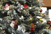 ¿El 8 de diciembre es la fecha correcta para poner el árbol navideño ¿El 8 de diciembre es la fecha correcta para poner el árbol navideño