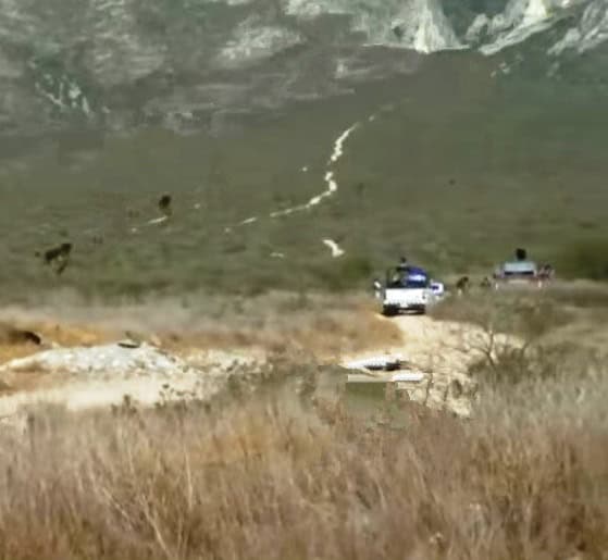 imagen-cuerpo imagen-cuerpo