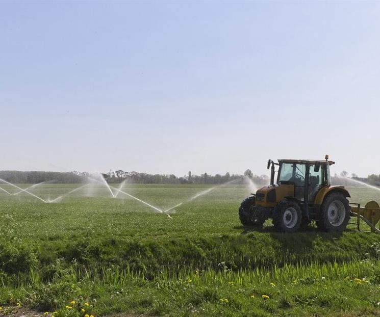 Ayudará Trump a agricultores afectados por sus aranceles