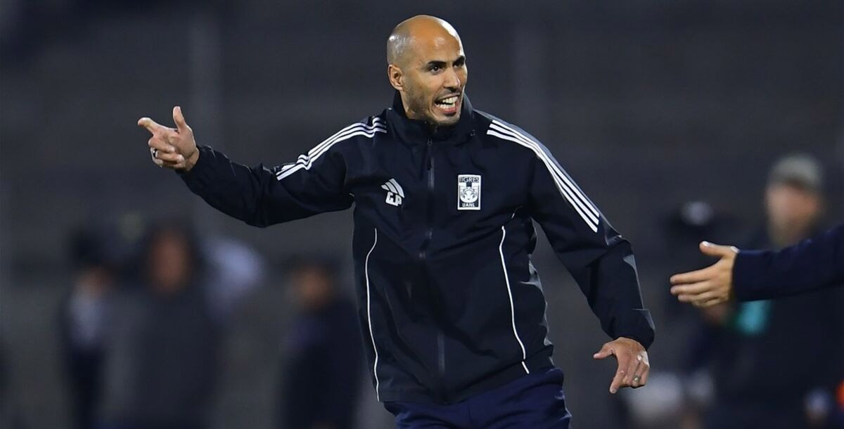 Sería Guido Pizarro primer DT argentino campeón en Tigres Sería Guido Pizarro primer DT argentino campeón en Tigres