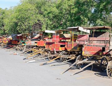 Inicia transición de carretoneros a recolectores de basura en autos