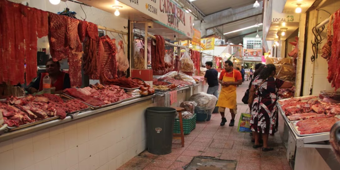 Ganaderos piden frenar importación desmedida de carne a México Ganaderos piden frenar importación desmedida de carne a México