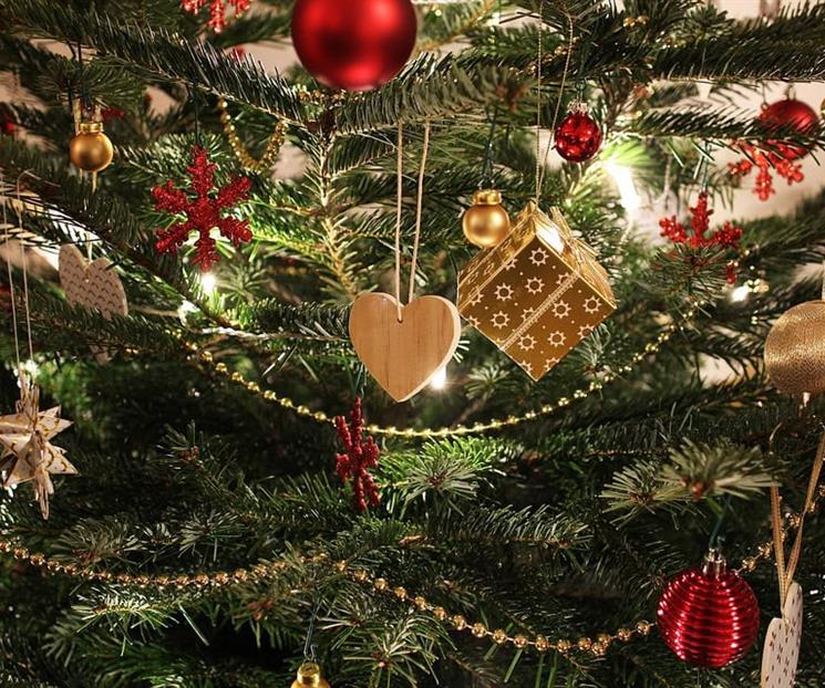 ¿Árbol de Navidad natural o artificial? La UNAM lo revela ¿Árbol de Navidad natural o artificial? La UNAM lo revela