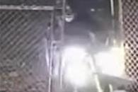 Roban otra campana de templo Roban otra campana de templo